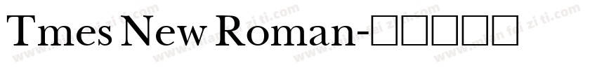 Tmes New Roman字体转换